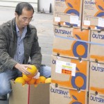 ml-shanghai-fruit-checker_w500 ml-shanghai-fruit-checker_w500