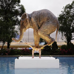Balancing-Act-elephant
